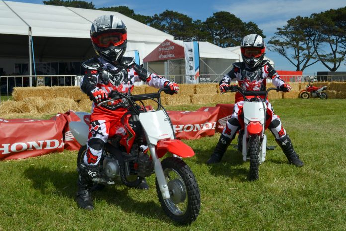 Honda Fun Bikes Honda Fun Bikes
