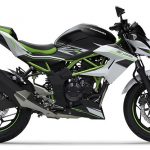Z 125 2019-3
