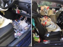 Pemandu pengotor dan menjijikan! Pemandu pengotor