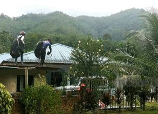 Paragliding mendarat kecemasan atas bumbung