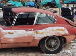 30 buah Jaguar vintage ditemui di rumah hijau lama