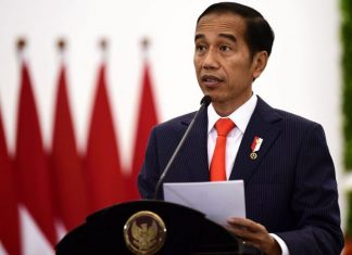 Ibu negara Indonesia dipindah, hanya kereta elektrik dan pandu sendiri dibenarkan masuk?