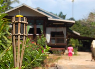 PKPB: Ziarah pada hari pertama perayaan sahaja