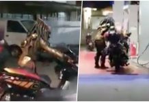 Predator kehabisan minyak, dapat perhatian warganet