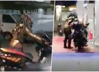 Predator kehabisan minyak, dapat perhatian warganet