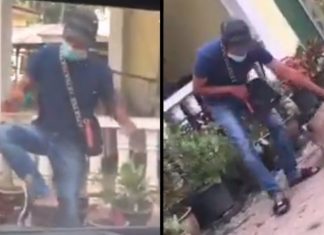 Lelaki digigit angsa semasa hantar barang