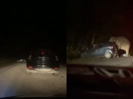 Gajah mengamuk pijak kereta di Gerik, lepas dengar bunyi hon