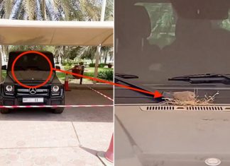 Putera Mahkota Dubai biarkan burung buat sarang pada Mercedes-AMG G63 miliknya