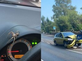 Pemandu langgar pembahagi jalan selepas terkejut tengok labah-labah dalam kereta