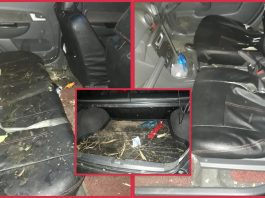 Sudah lah liat bayar sewa, guna kereta untuk angkat pisang pula!