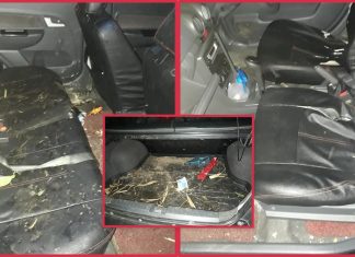 Sudah lah liat bayar sewa, guna kereta untuk angkat pisang pula!