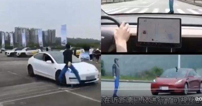 tesla fi