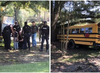 Mencuri dan memandu bas, budak lelaki 11 tahun ini dikejar puluhan kereta peronda polis