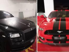 Polis tahan pegawai imigresen, disyaki ahli sindiket curi kenderaan