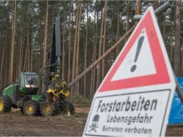 Tesla diarah hentikan penebangan pokok di Gigafactory Jerman kerana ganggu hibernasi ular