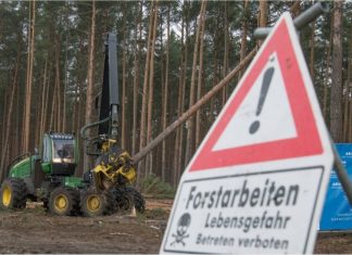 Tesla diarah hentikan penebangan pokok di Gigafactory Jerman kerana ganggu hibernasi ular