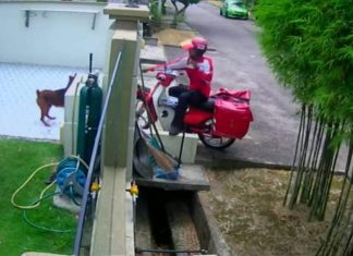 Posmen lastik mata anjing digantung kerja