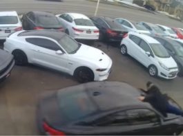 Jurujual hampir maut cuba selamatkan BMW M4 yang dicuri dari pusat pengedar