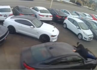 Jurujual hampir maut cuba selamatkan BMW M4 yang dicuri dari pusat pengedar