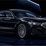 bmw fi