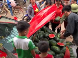 Lelaki ini selamba jual tembikai guna replika Ferrari 488 GTB