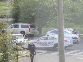 Kereta peronda polis AS terlibat kemalangan gara-gara anggota berlumba satu sama lain