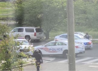 Kereta peronda polis AS terlibat kemalangan gara-gara anggota berlumba satu sama lain