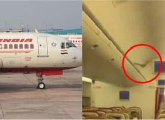 Kelawar jadi punca pesawat Air India terpaksa berpatah balik