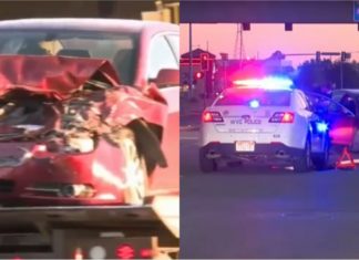 Dua kanak-kanak rembat Chevrolet Malibu untuk berenang dengan ikan lumba-lumba