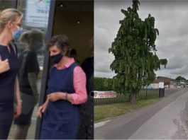 Warga emas 87 tahun dihukum penjara, pandu melulu hingga langgar tiga orang awam