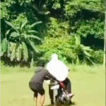 Belajar bawa motor_1