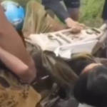 kain pelekat sangkut indonesia