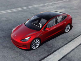 Lagi kes tikus gigit wayar Tesla, pemilik ini perlu keluarkan kos baik pulih RM21k