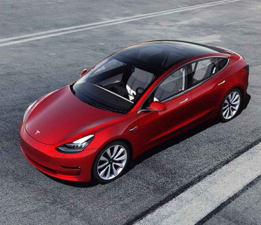 Lagi kes tikus gigit wayar Tesla, pemilik ini perlu keluarkan kos baik pulih RM21k