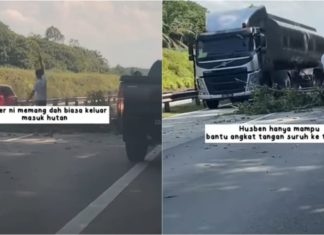 Lelaki ini gadai nyawa alih pokok tumbang tengah lebuh raya