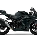 Suzuki GSX-R1000