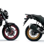 Suzuki-Malaysia-SV650-side