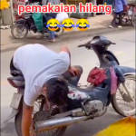Penghidup penendang tiktok_2