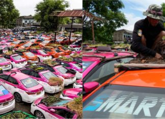 Kesan pandemik, 200 teksi terbiar dijadikan kebun mini di Thailand