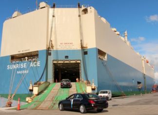 Penghantaran kenderaan di Australia jadi lewat sebab serangga marmar coklat