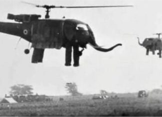 Tentera Udara India pernah ada helikopter bentuk gajah sebagai simbol kekuatan