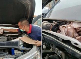 Gara-gara sorok wang celah enjin tak nak isteri tahu, lelaki ini berputih mata duit digigit tikus