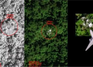 Bangkai pesawat MH370 didakwa dikesan di Kemboja?