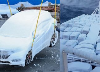 Puluhan kereta Honda dan Toyota terpakai ‘sejuk beku’ tiba di Rusia
