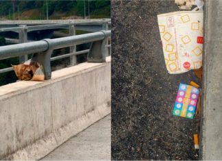 Baru dua minggu Lebuh Raya Bukit Kukus dibuka dah jadi tempat buang sampah