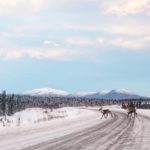 Yukon_3