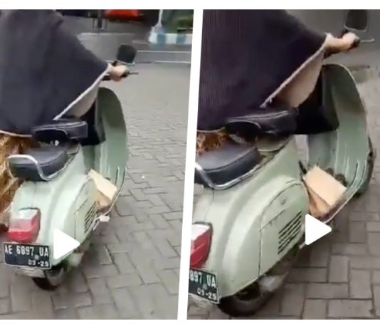 Mak cik tolak mentah-mentah pelawaan seorang lelaki tukar Vespa Smallframe dengan skuter baharu