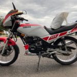 Yamaha RX-Z_2