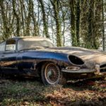 Jaguar 1