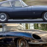 Jaguar image